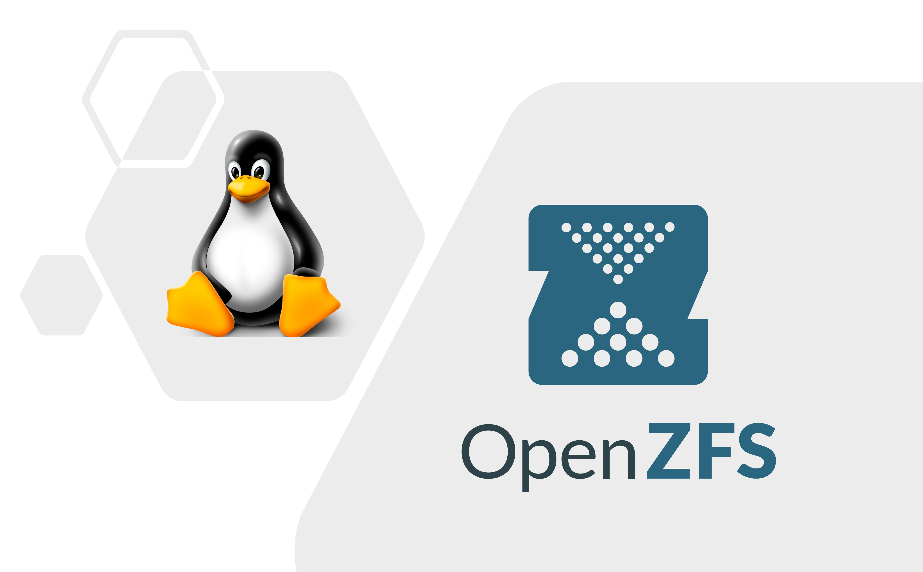 使用虚拟化方式玩转 ZFS