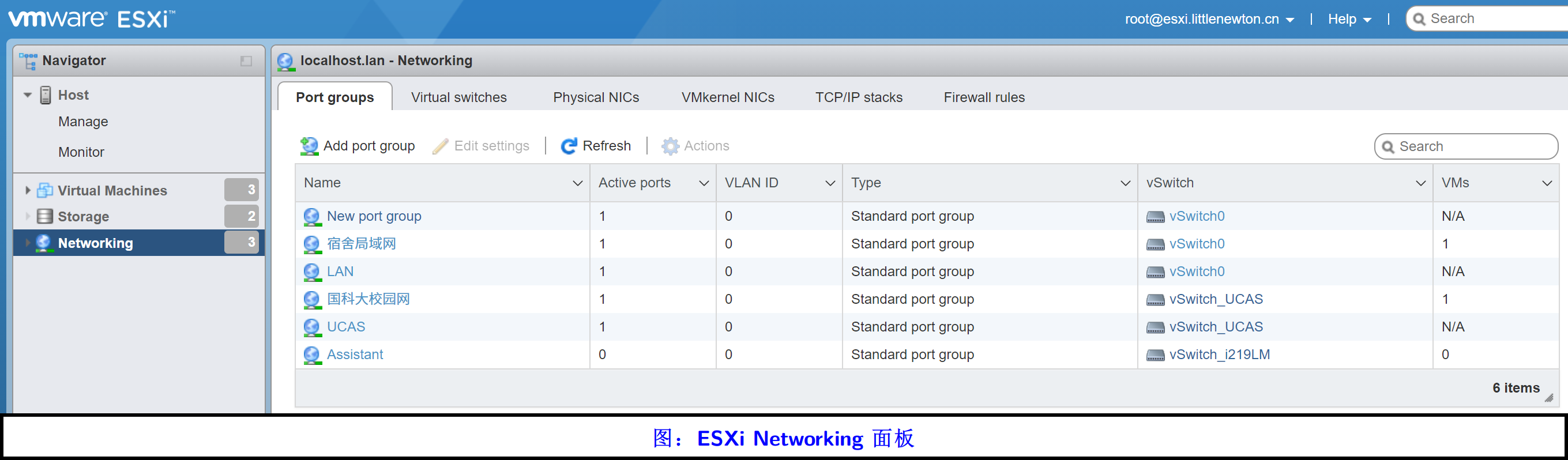 图 1. ESXi 的网络面板。