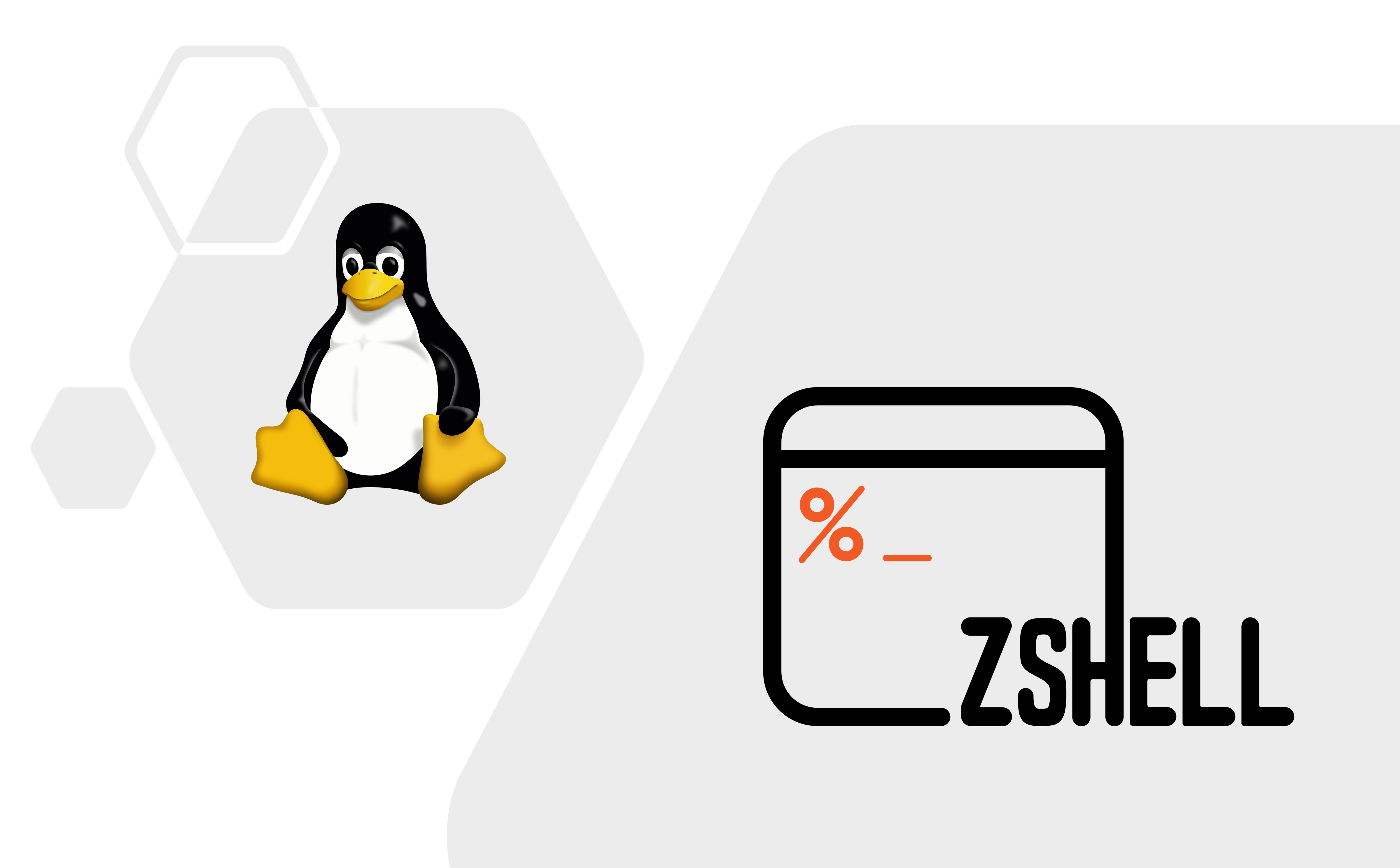 Linux zsh 配置