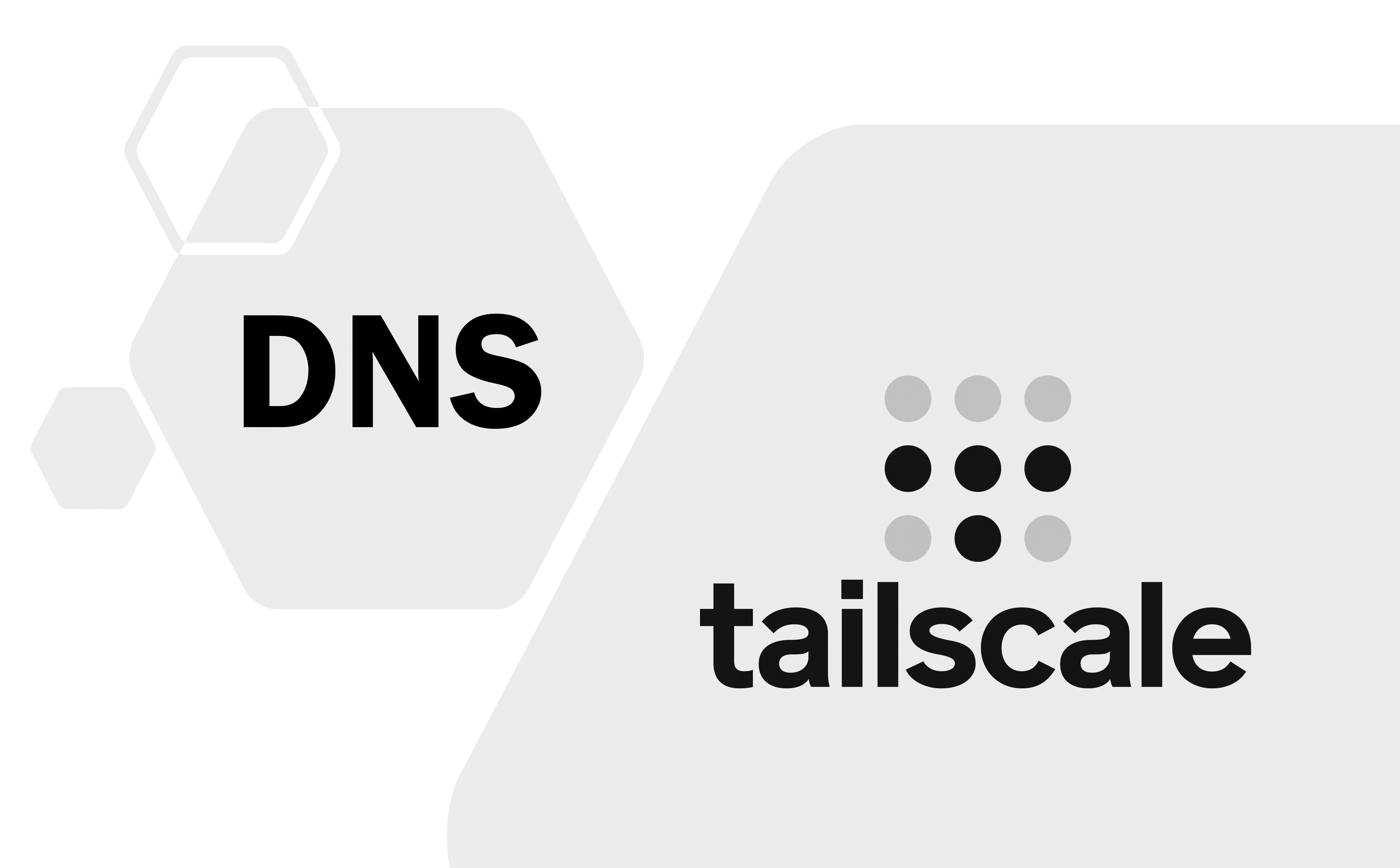 通过 Tailscale 搭配 CNAME DNS 实现内网服务外网访问