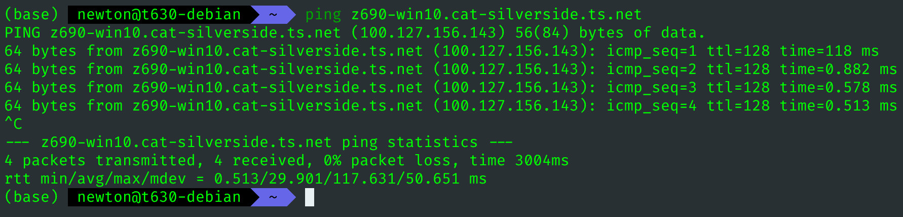 图 8.  MagicDNS 域名，即可访问 Tailscale IP 地址。