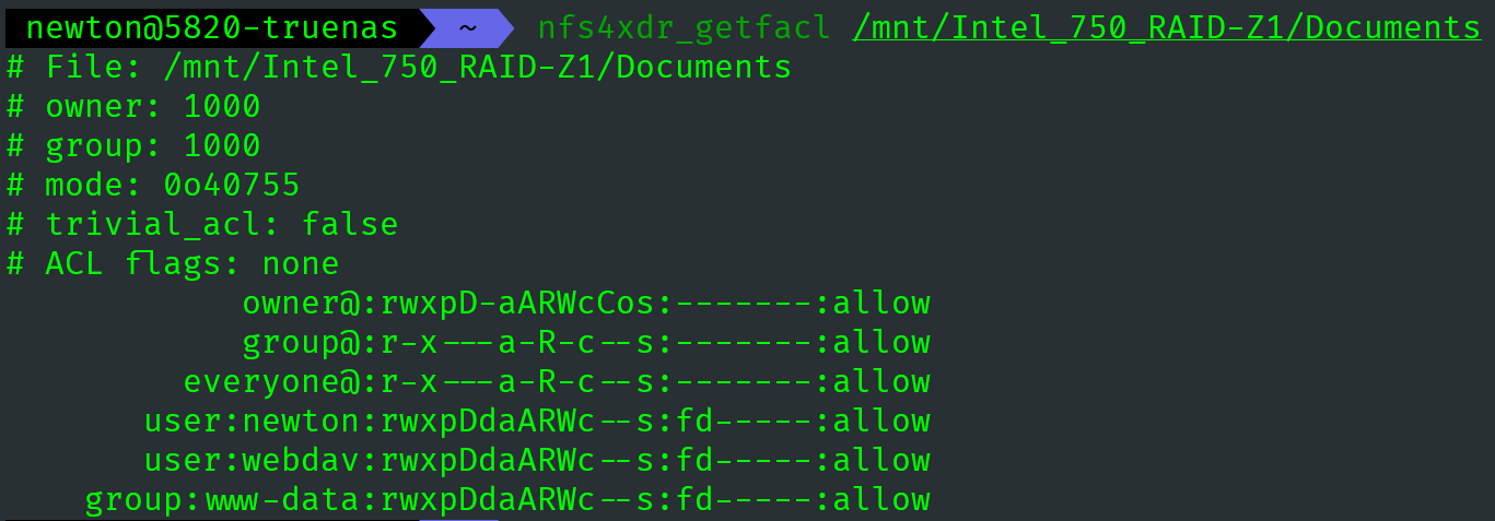 图 28. NFSv4 的 ACL 输出非常复杂。